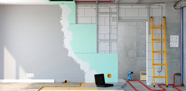 Best Attic Mold Removal  in Whitefish Bay, WI