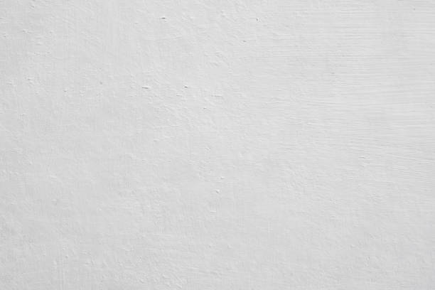 Best Residential Mold Inspection & Testing  in Whitefish Bay, WI